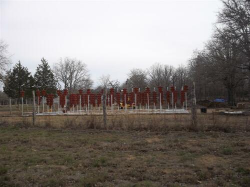 100 0313 (Large)