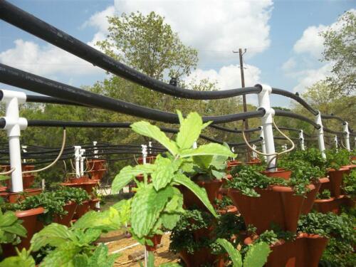 100 0526 (Large)