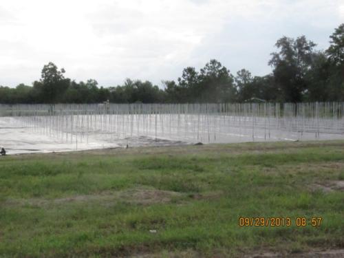 IMG 1746 (Medium)