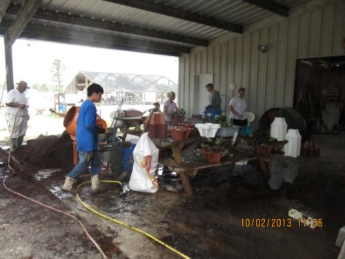 IMG 1751 (Medium)