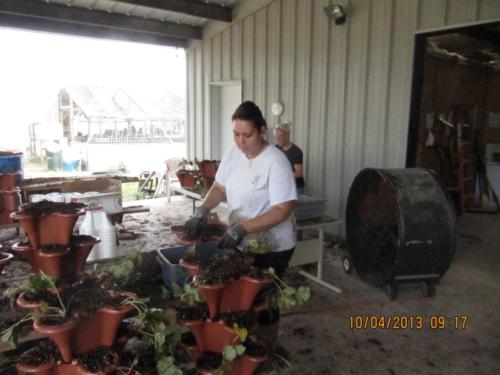 IMG 1760 (Medium)